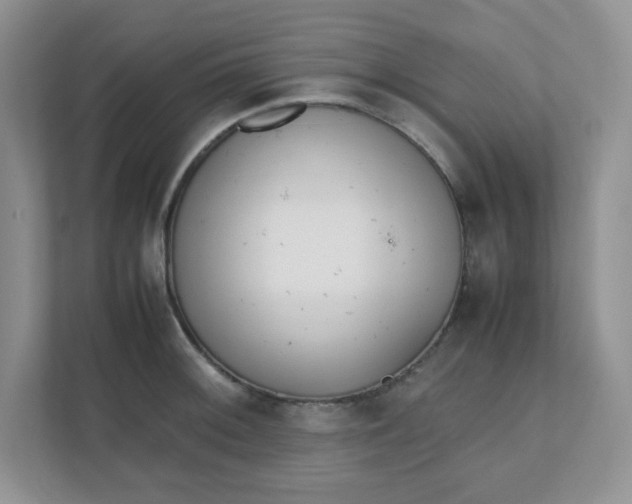 X0000112041092200908171506