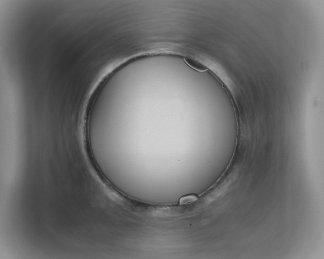 X0000112041093200908171506