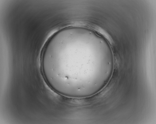 X0000112041095200908171506
