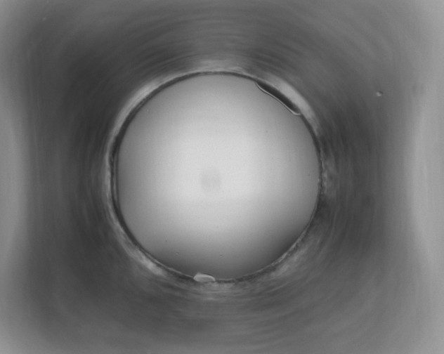 X0000112041096200908171506