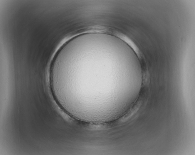 X0000112041099200908171506