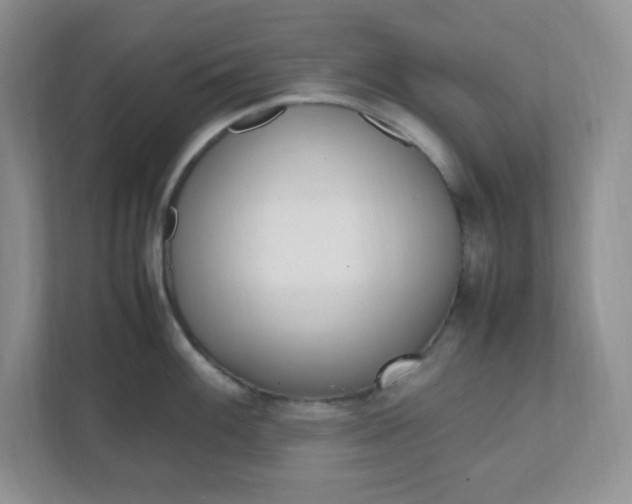 X0000112041100200908171506