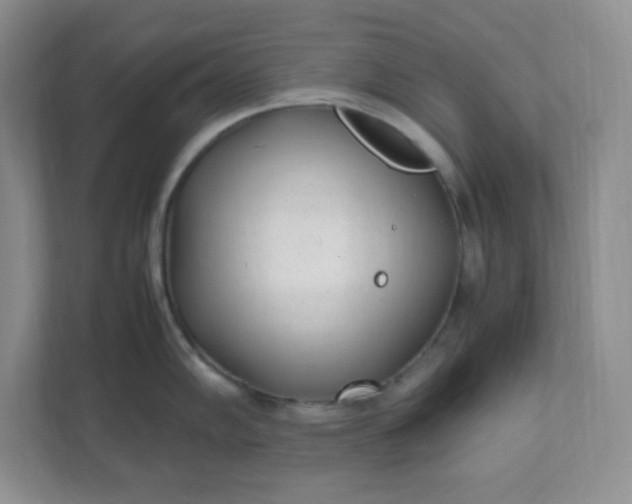 X0000112041102200908171506