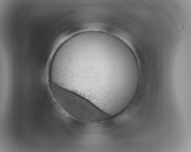 X0000112041104200908171506
