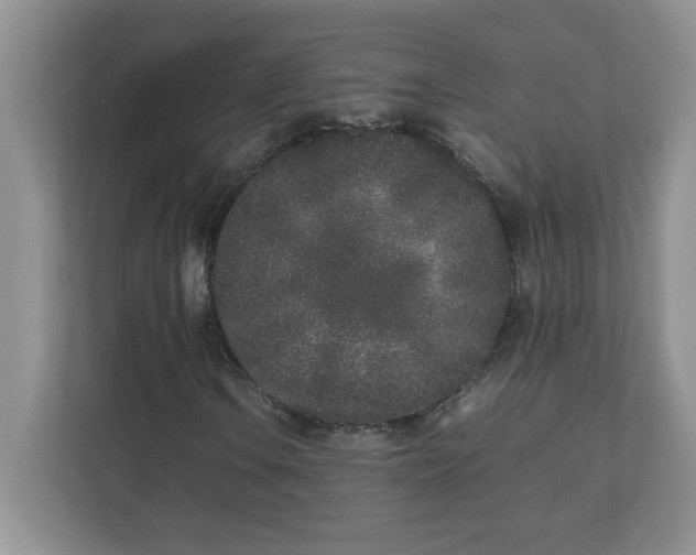 X0000112041106200908171505