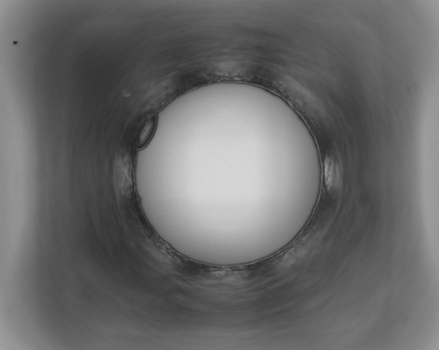 X0000112041107200908171505