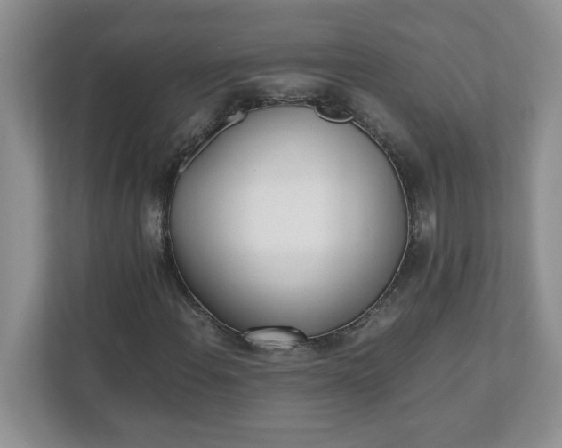 X0000112041108200908171505