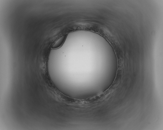 X0000112041109200908171505