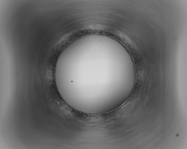 X0000112041110200908171505