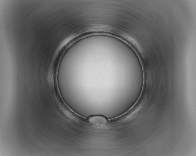 X0000112041114200908171505