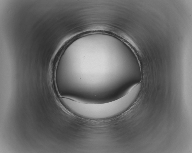 X0000112041116200908171505
