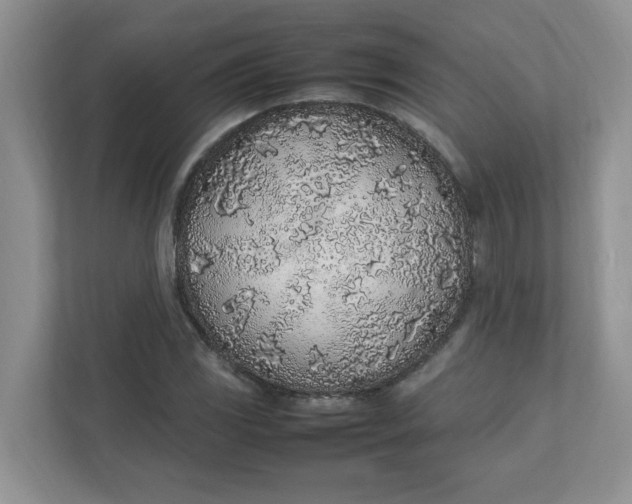 X0000112041117200908171505