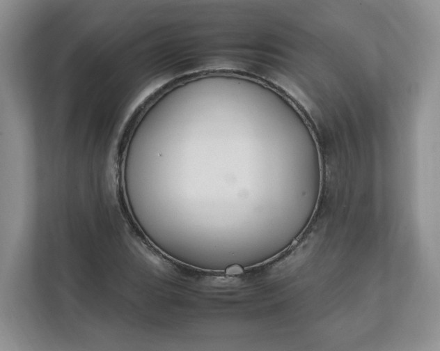X0000112041119200908171505