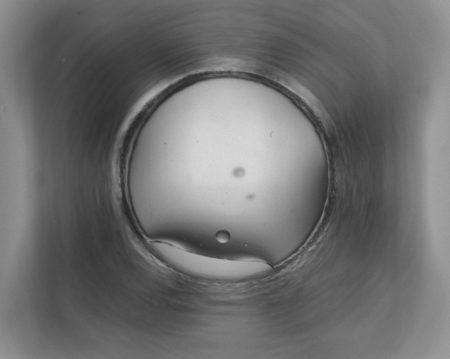 X0000112041120200908171505