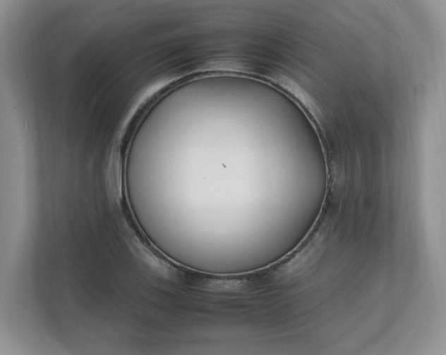 X0000112041123200908171505