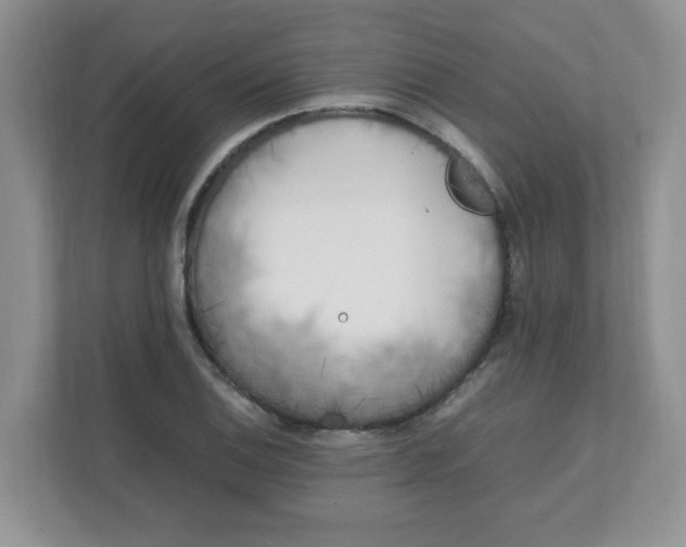 X0000112041124200908171505