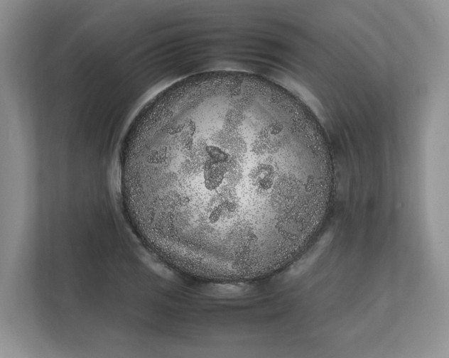 X0000112041125200908171505