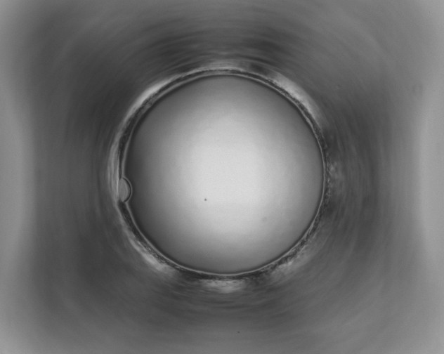 X0000112041127200908171505