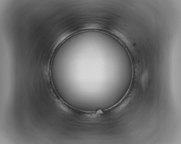 X0000112041129200908171505