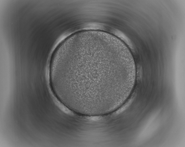 X0000112041130200908171505