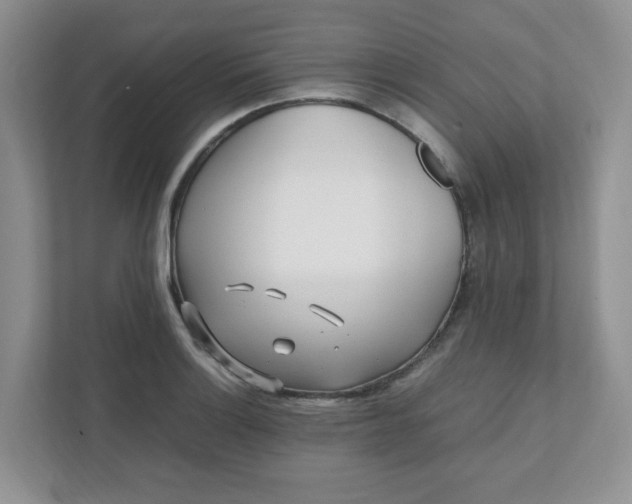 X0000112041132200908171505