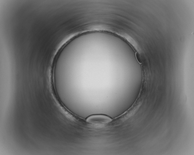 X0000112041134200908171505