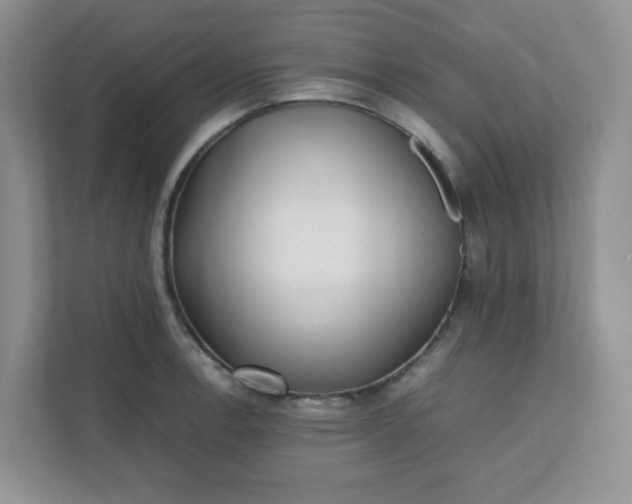 X0000112041138200908171506