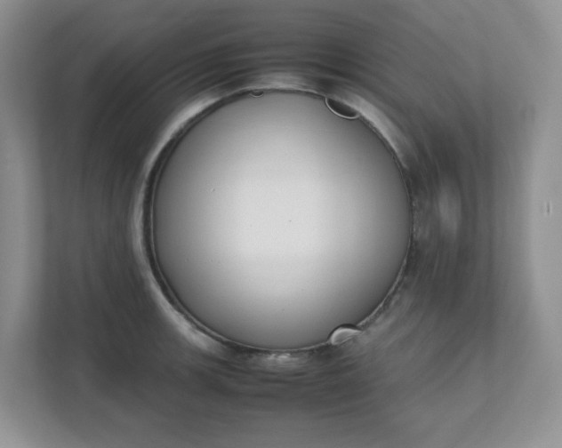 X0000112041139200908171506