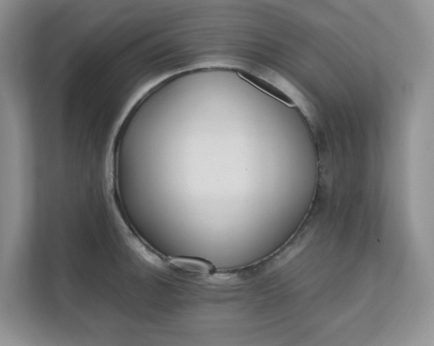 X0000112041140200908171506