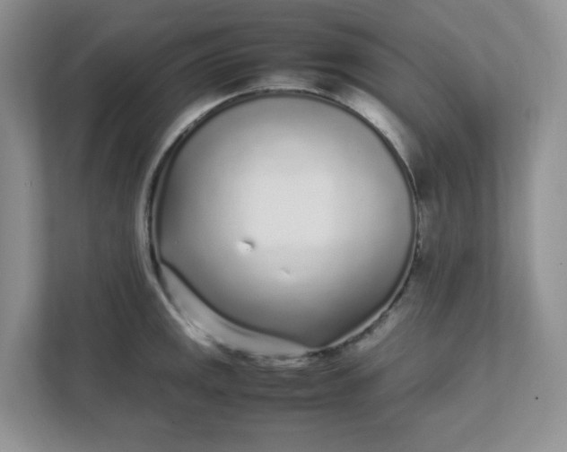 X0000112041141200908171506