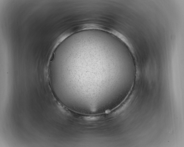 X0000112041145200908171506