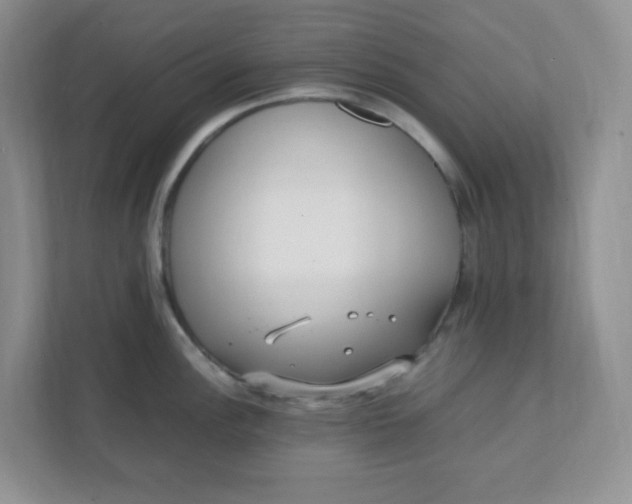 X0000112041148200908171506