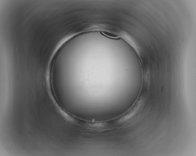 X0000112041149200908171506