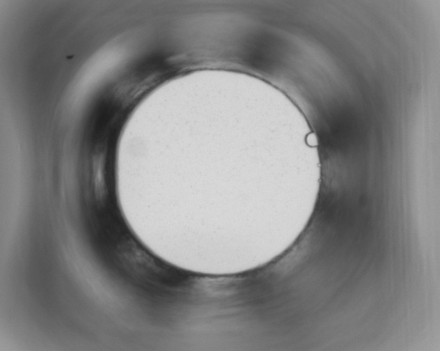 X0000112041150200908171506