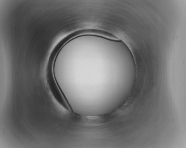 X0000112041152200908171506