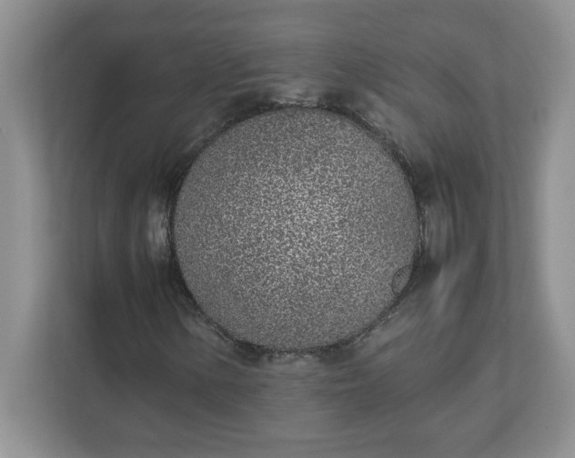 X0000112041154200908171505