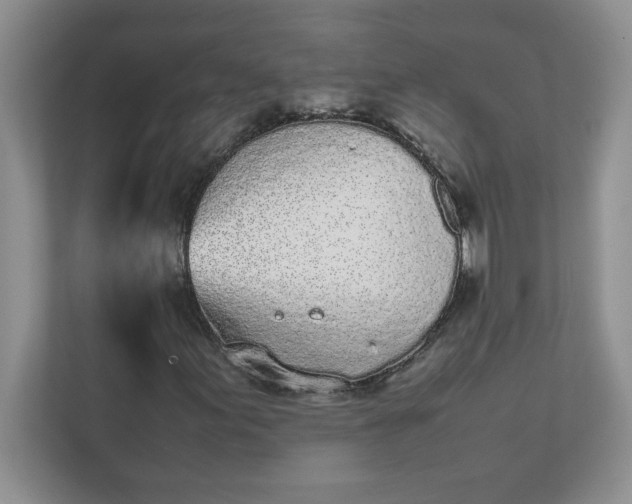 X0000112041155200908171505