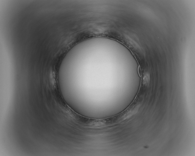 X0000112041156200908171505