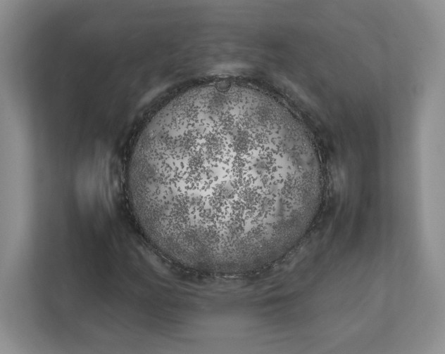 X0000112041158200908171505