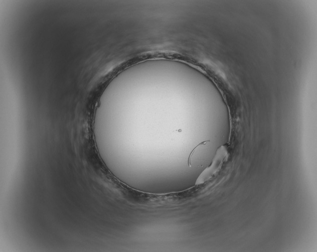 X0000112041159200908171505