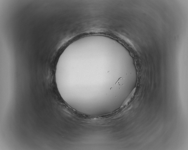 X0000112041160200908171505