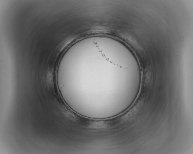 X0000112041162200908171505