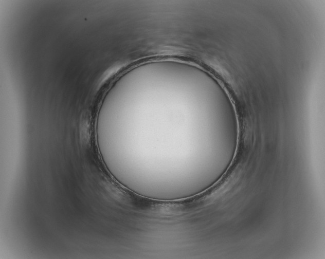 X0000112041163200908171505