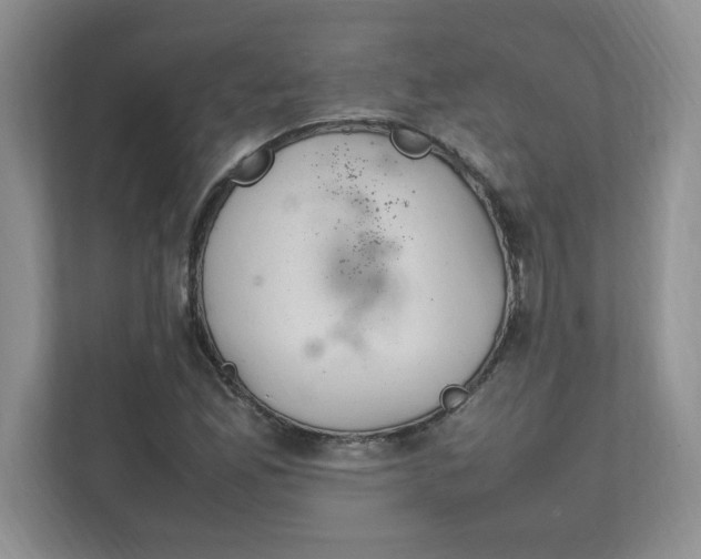 X0000112041165200908171505