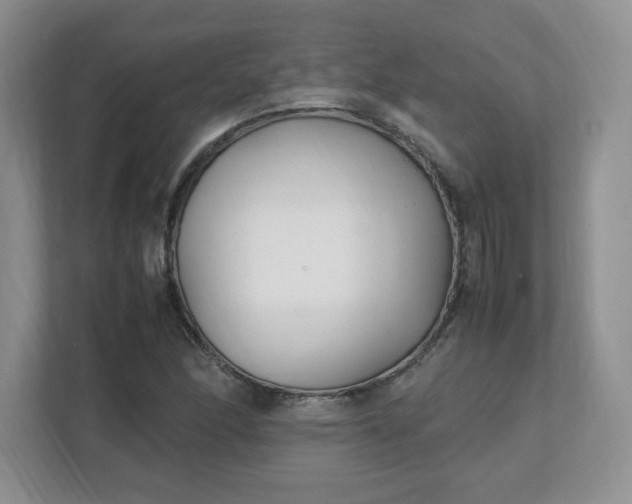 X0000112041166200908171505