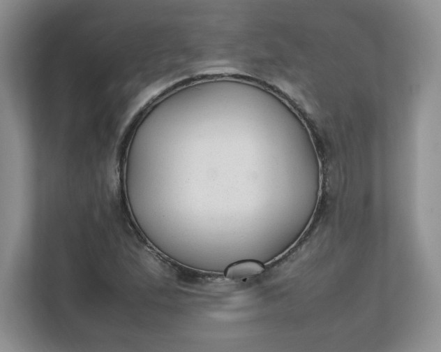 X0000112041167200908171505