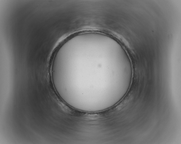 X0000112041168200908171505