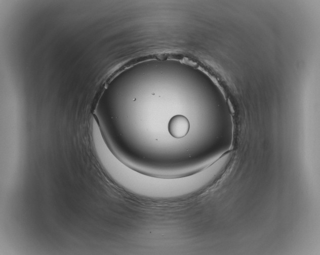 X0000112041169200908171505