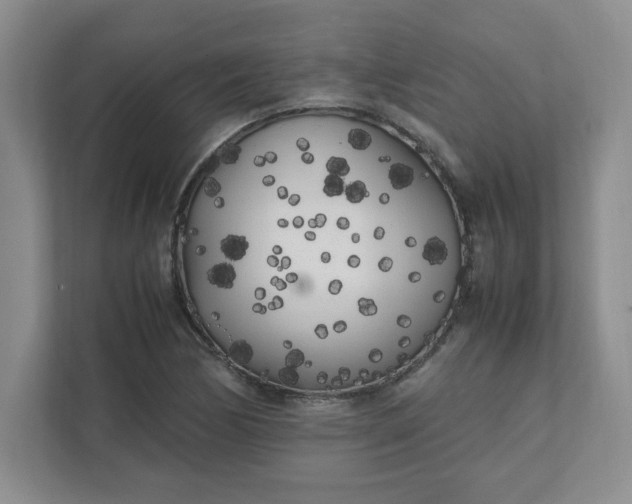 X0000112041170200908171505