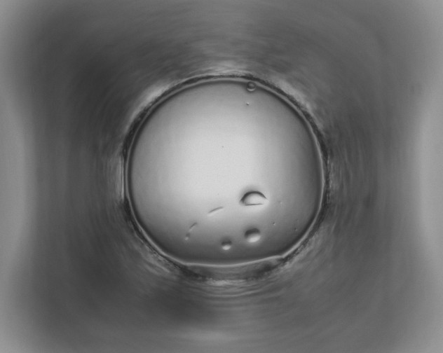X0000112041171200908171505